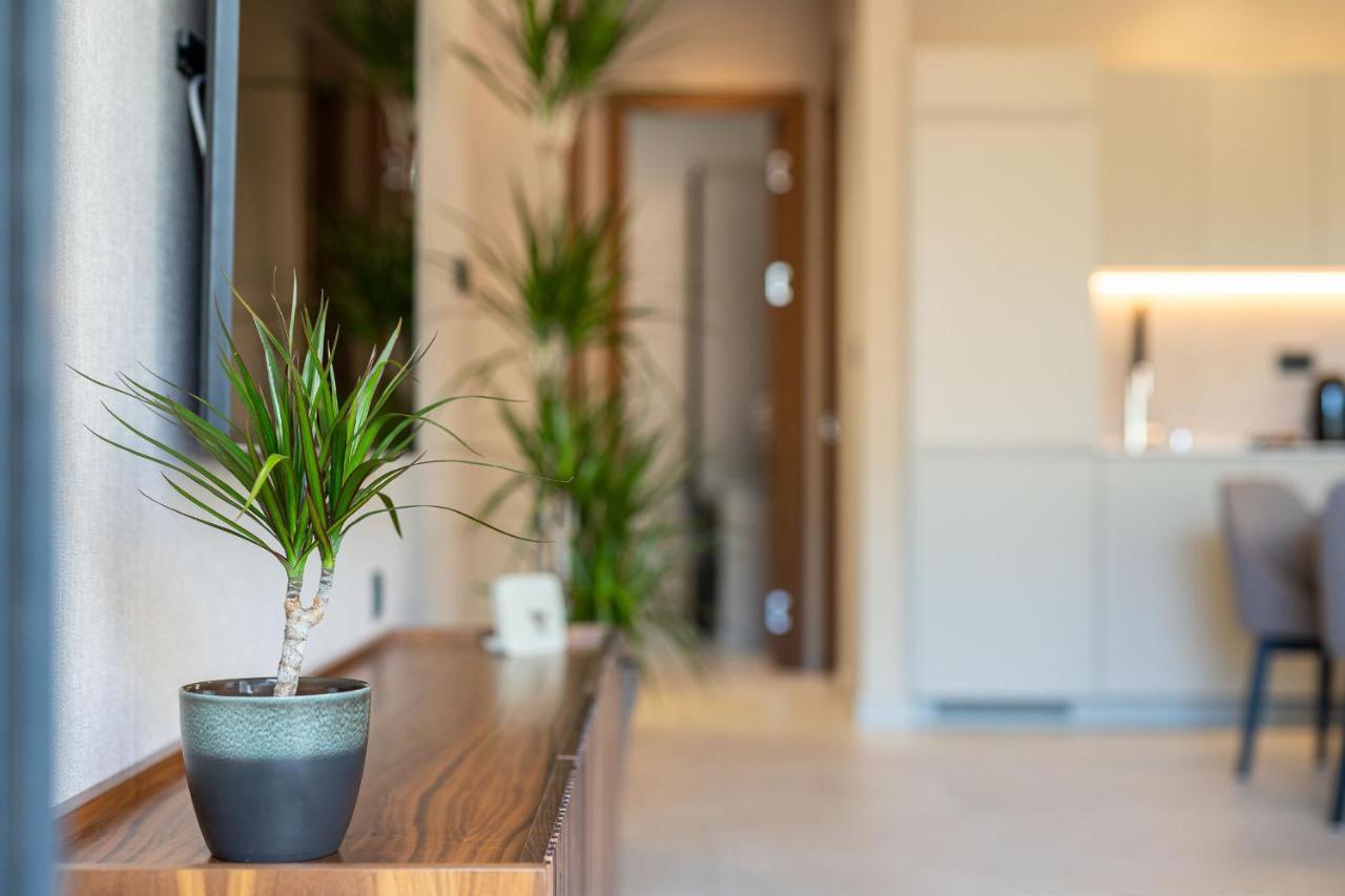 C Group Apartments Котор Екстер'єр фото